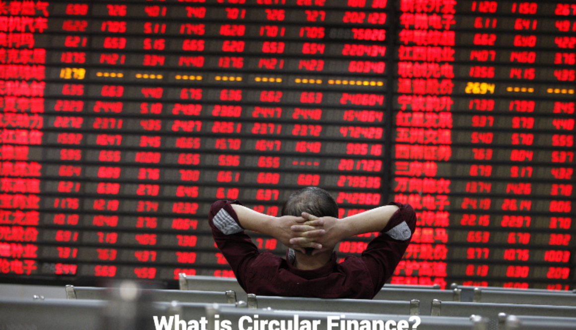 Blog 2 what is circular finance